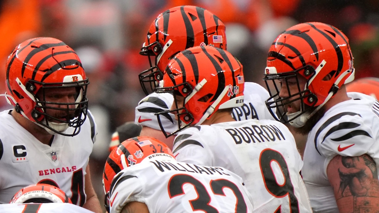 betting on the bengals